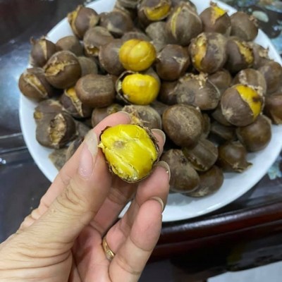 Hạt dẻ - Trung Quốc