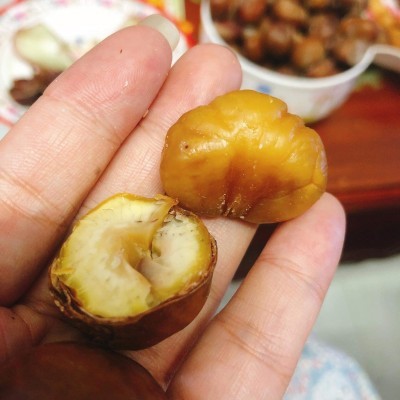 Hạt dẻ - Trung Quốc