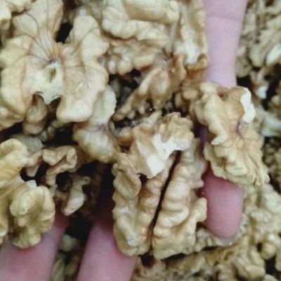 Nhân óc chó Mỹ