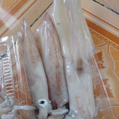 Mực ống lớn size 3-5 con/1kg