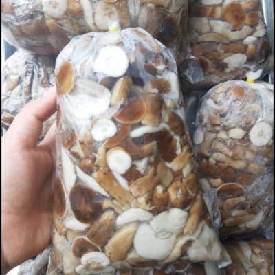 Nấm tràm