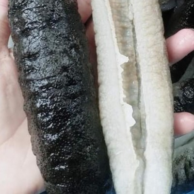 Hải sâm