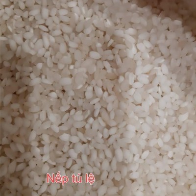 Nếp tú lệ